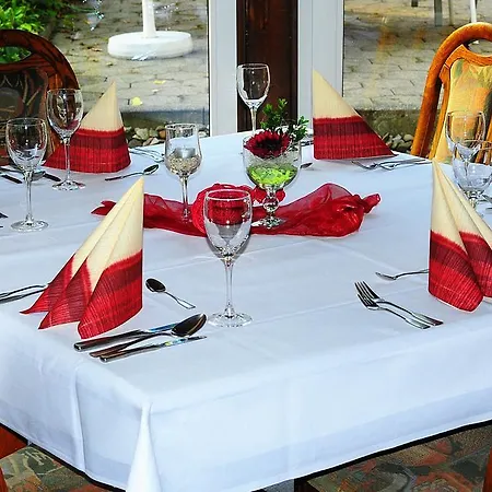 Hotel-restaurant Fischanger Hotel Schieder-Schwalenberg